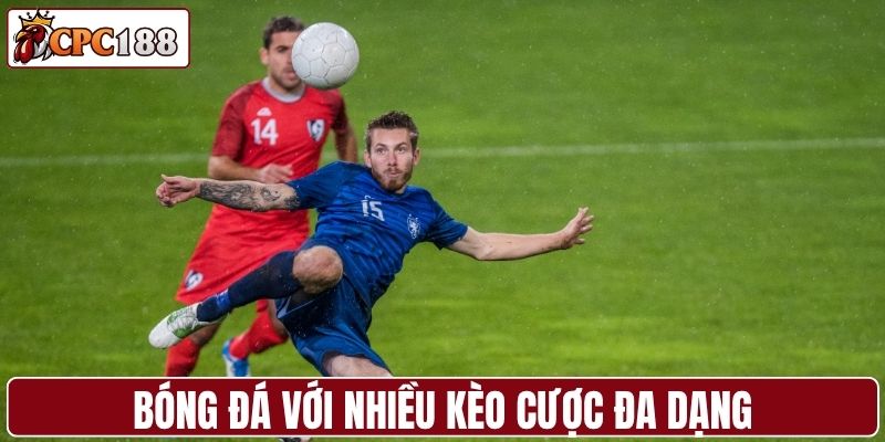 Bóng đá - Bộ môn vua với nhiều kèo cược