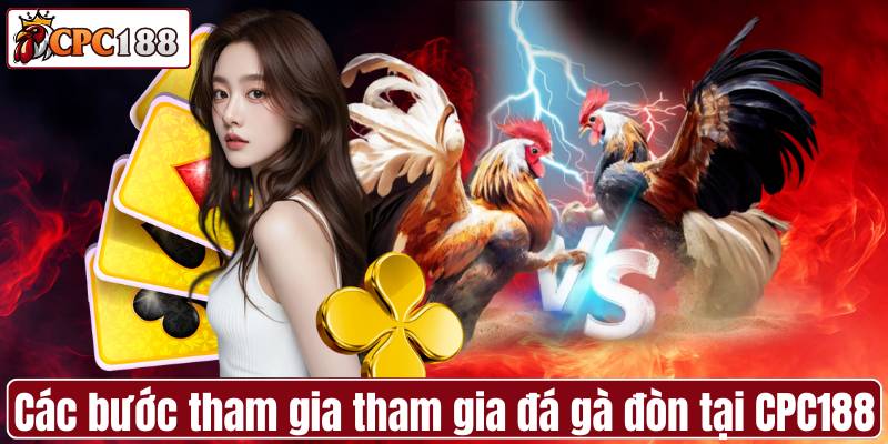 Các bước tham gia tham gia đá gà đòn tại CPC188