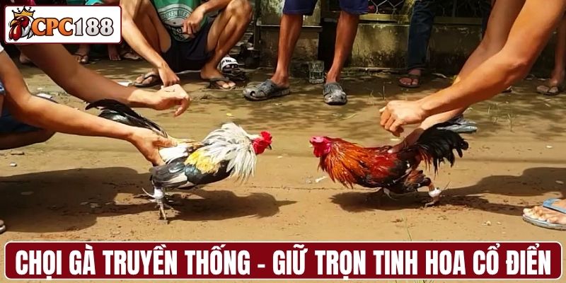 Chọi gà truyền thống - Giữ trọn tinh hoa cổ điển