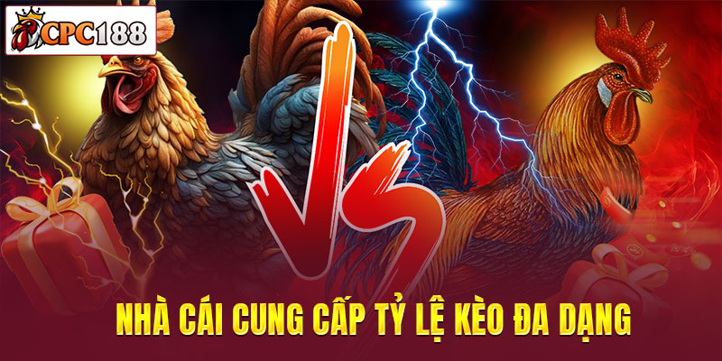 Nhà cái cung cấp tỷ lệ kèo đa dạng