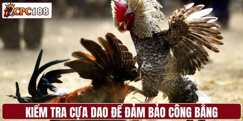 Cựa dao được kiểm tra đầy đủ để đảm bảo công bằng