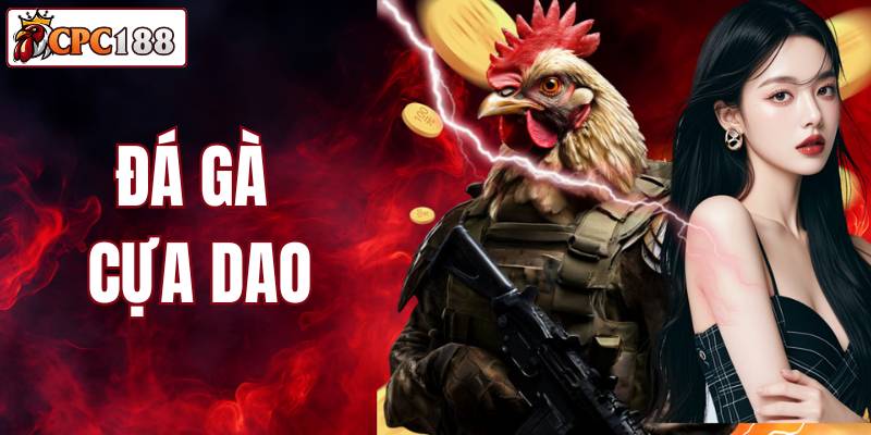 Đá Gà Cựa Dao - Trải Nghiệm Giải Trí Hấp Dẫn Tại CPC188