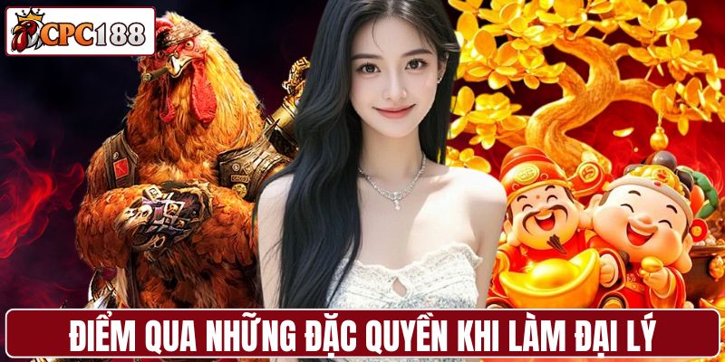 Điểm qua những đặc quyền khi làm đại lý