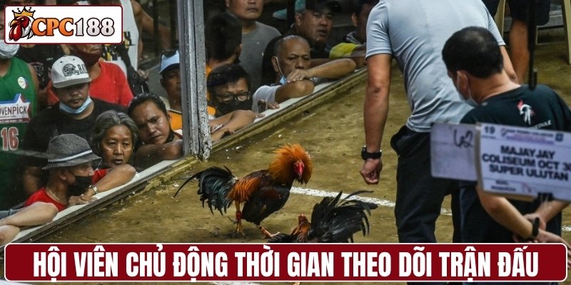 Hội viên chủ động thời gian theo dõi trận đấu