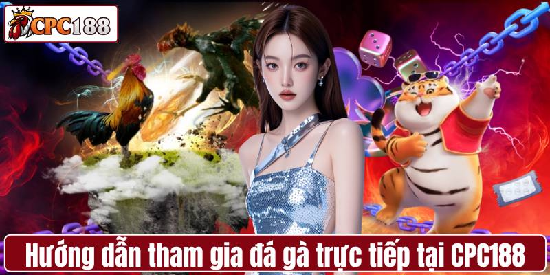Hướng dẫn cách tham gia đá gà trực tiếp tại CPC188