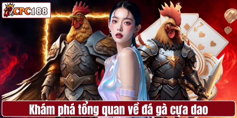 Khám phá tổng quan về đá gà cựa dao