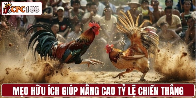 Mẹo hữu ích giúp nâng cao tỷ lệ chiến thắng