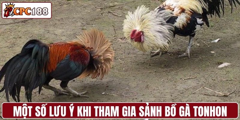 Một số lưu ý khi tham gia sảnh bồ gà Tonhon