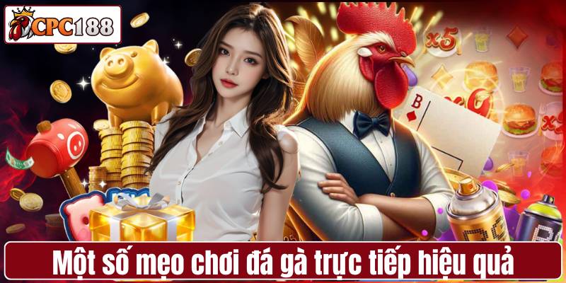 Một số mẹo chơi đá gà trực tiếp hiệu quả