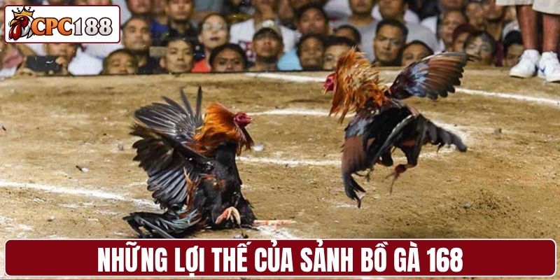 Những lợi thế của sảnh bồ gà 168