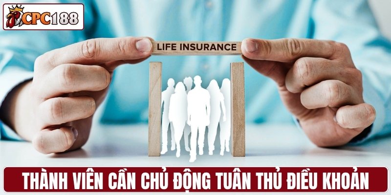 Thành viên cần chủ động tuân thủ điều khoản