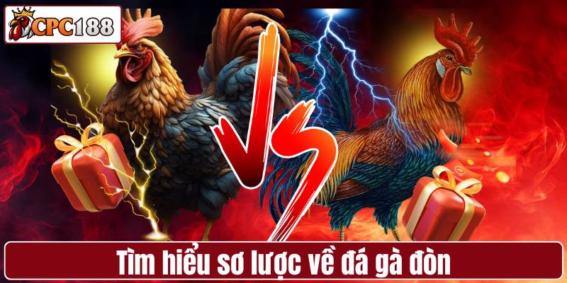 Tìm hiểu sơ lược về đá gà đòn