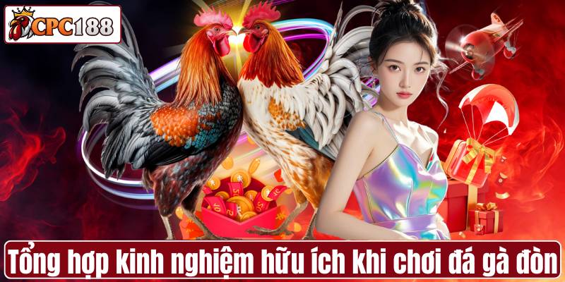 Tổng hợp kinh nghiệm hữu ích khi chơi đá gà đòn