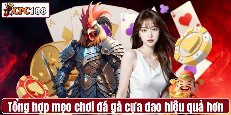 Tổng hợp mẹo chơi đá gà cựa dao tự tin và hiệu quả hơn