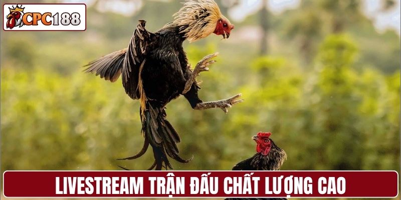 Trận đấu được hệ thống livestream với chất lượng cao