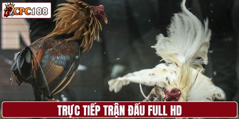 Trực tiếp trận đấu full HD, hình ảnh sắc nét