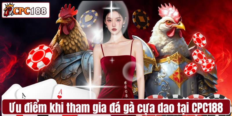 Ưu điểm khi tham gia đá gà cựa dao tại CPC188