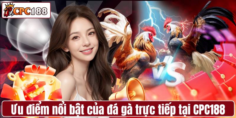 Ưu điểm nổi bật của đá gà trực tiếp tại CPC188