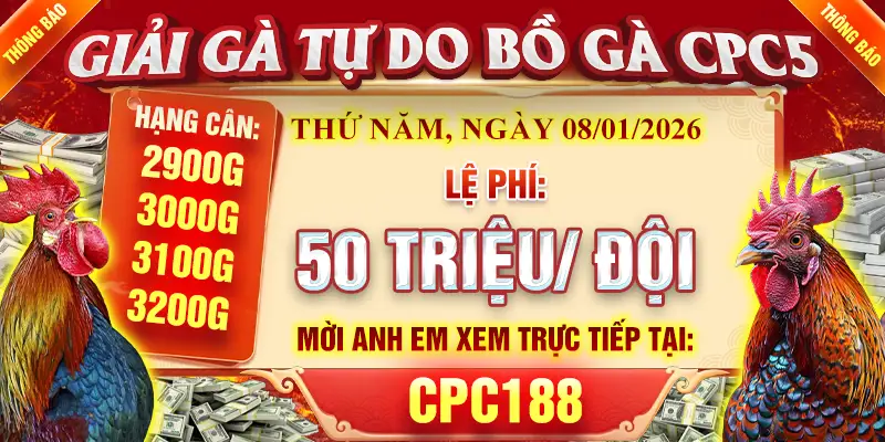 Giải gà tự do cpc5 08/01/2026